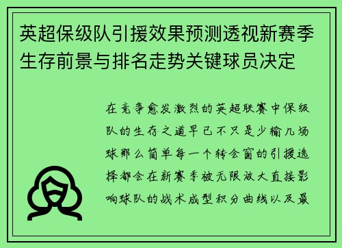 英超保级队引援效果预测透视新赛季生存前景与排名走势关键球员决定
